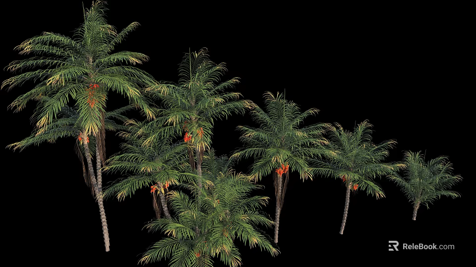 Tall Lush Palm Trees With Green Fronds And Orange Fruits On Straight Trunks 3d model 