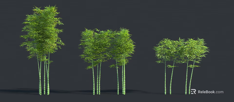 Lush Green Bamboo Clumps With Different Heights And Fresh Foliage 3d model 