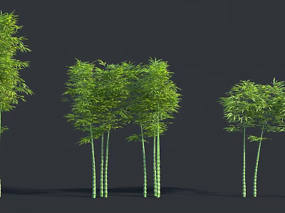Lush Green Bamboo Clumps With Different Heights And Fresh Foliage 3d model