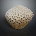 Porous Spherical Coral Structure In Beige To Brown Color For Aquatic Animal Habitat