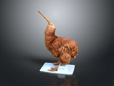 Detailed Brown Kiwi Bird Sculpture With Long Beak Standing On White Base 3d model