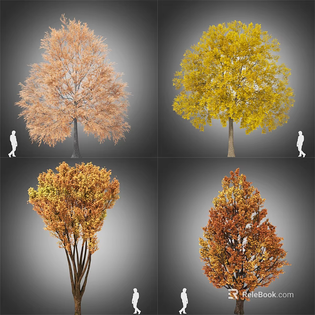 Tall Arbor Trees With Yellow Orange Red Foliage And Person Silhouette 3d model 