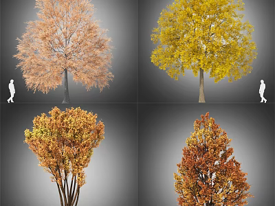 Tall Arbor Trees With Yellow Orange Red Foliage And Person Silhouette 3d model