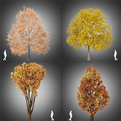 Modern Maple 3d model Modern Maple 3d model