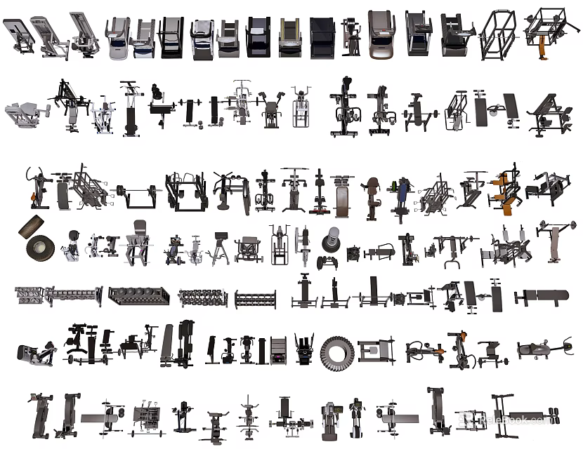 Comprehensive Collection of Sports Equipment Featuring Balls Rackets Training Gear and Fitness Tools 3d model 