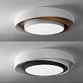 Modern Minimalist Ceiling Light With Gold And Green Inner Ring Design 3d model