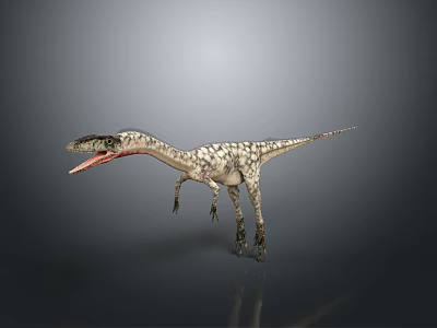 3D Dinosaur Model With Open Mouth Realistic Skin Texture And Gray Background Reflection 3d model