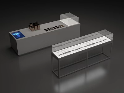 Modern Showcase Shelves with Transparent Glass Cover and Digital Screen for Product 3d model