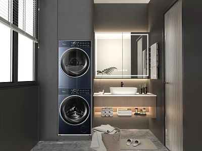 Modern Bathroom Interior Design With Stacked Washer Dryer White Sink Mirror Towels And Potted Plant 3d model