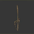 Fresh Golden Wheat Ears As Natural Food Ingredient On Dark Background