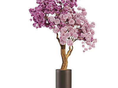 Bonsai Plant With Purple And Pink Flowers Brown Trunk In Black Cylindrical Pot 3d model