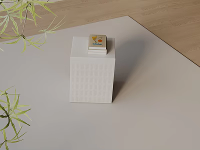 White Lattice Side Table With Books On Top And Green Plant Nearby 3d model