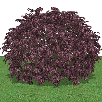 Modern safflower following wood ball plant green plant 3d model