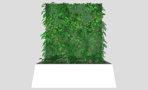 Plant decoration plant wall 3d model