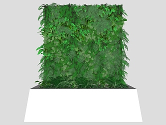 Plant decoration plant wall 3d model