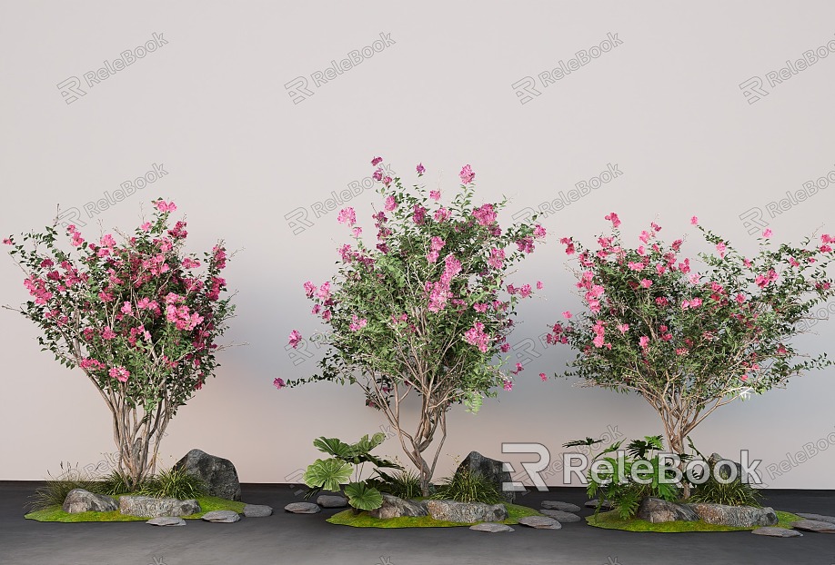 Lagerstroemia landscape trees overgrown Lagerstroemia lilac trees courtyard plants shrubs model