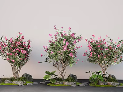 Pink Flowering Trees With Green Plants And Stones Against Gray Background Wall 3d model