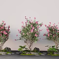 Pink Flowering Trees With Green Plants And Stones Against Gray Background Wall
