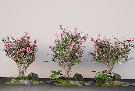 Lagerstroemia landscape trees overgrown Lagerstroemia lilac trees courtyard plants shrubs 3d model