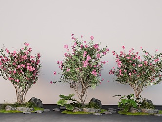 Lagerstroemia landscape trees overgrown Lagerstroemia lilac trees courtyard plants shrubs 3d model