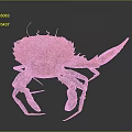 Vibrant Orange Crab With Green And Red Legs On Dark Background