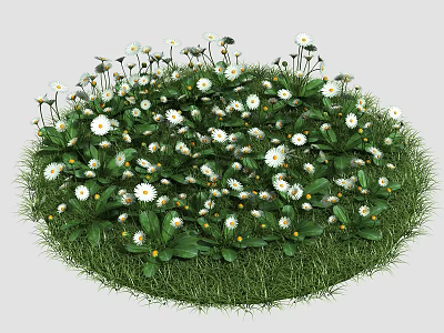 Modern Flower Landscape Plants 3d model