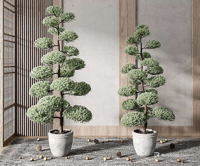Bonsai Trees with Layered Foliage in White Pots Indoor Decor with Wooden and Gray Accents 3d model 
