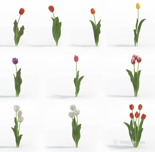 Beautiful Various Colored Tulips with Green Leaves and Different Petal Tones 3d model 