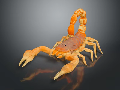 Orange Brown Reptile Scorpion Featuring Large Pincers Curved Tail on Dark Background 3d model