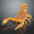 Orange Brown Reptile Scorpion Featuring Large Pincers Curved Tail on Dark Background