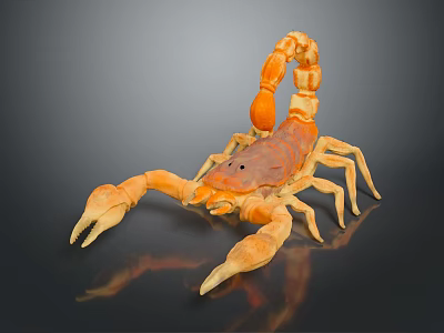 Five Striped Scorpion Karoleni Scorpion Italian Scorpion Mexican Scorpion Soves Scorpion East Asian Piners Scorpion 3d model