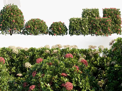 Lush Green Shrubs With Pink And White Flowers In Various Shapes And Clusters 3d model