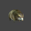 Realistic Chubby Wild Boar Character With Brown Fur White Facial Markings And Fierce Eyes