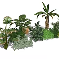 Lush Green Plants Collection With Tropical Leaves And Diverse Foliage Types