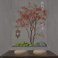 Indoor Landscape Design with Red Maple Tree Lantern Moss Stones and Round Cushions