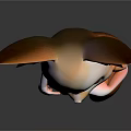 3D Anthropomorphic Fox Game Movie Character With Large Ears Orange Tail And Light Fur