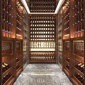 Modern Wine Cellar 3d model