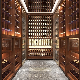 Modern Wine Cellar 3d model