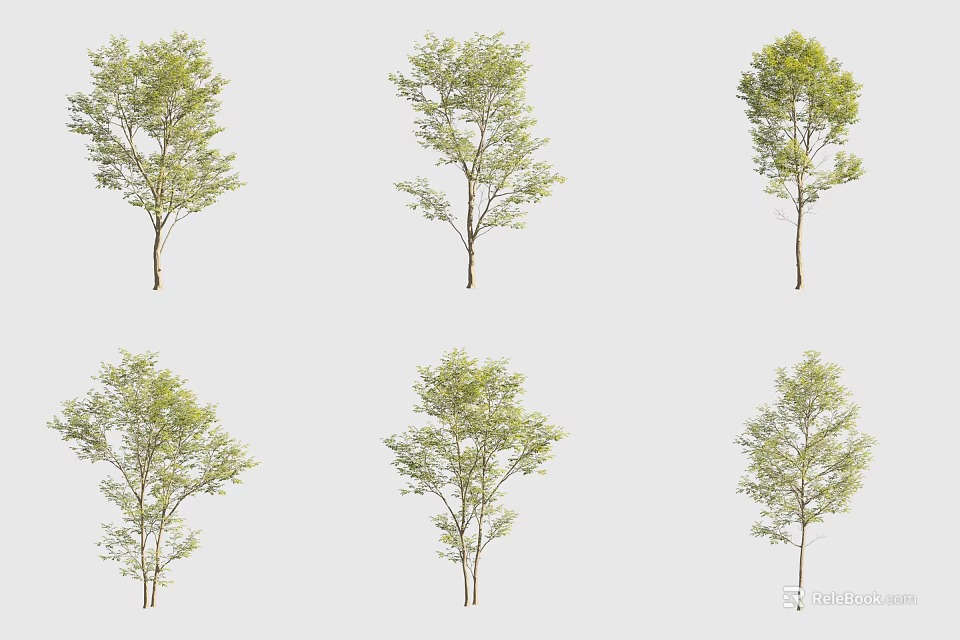 Various Arbor Trees With Different Foliage Forms For Landscape 3d model