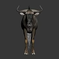 Wildebeest Standing On Black Background With Reflection And Detailed Fur Texture 3d model