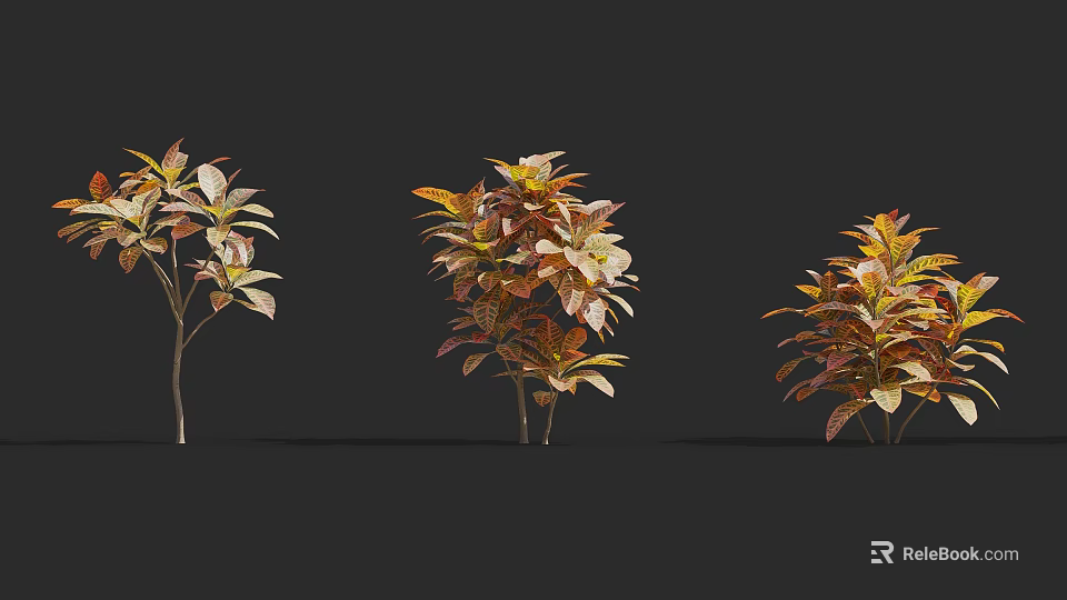 Three Arbor Trees With Red Brown And Green Foliage Against Black Background 3d model