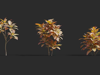 Three Arbor Trees With Red Brown And Green Foliage Against Black Background 3d model