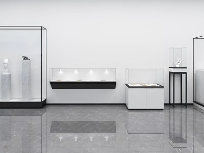 Modern Glass Display Cabinets And Shelves With Lighting In Exhibition Hall Setup 3d model