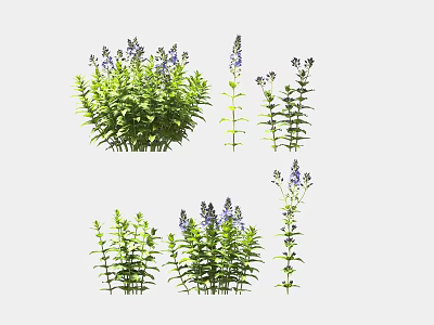 Lush Green Garden Plants With Purple Flowers And Vibrant Fresh Leaves 3d model
