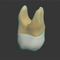 Dental Crown Model with Yellow Upper Part and White Lower Base for Dental Restoration