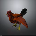 Red Rooster With Vibrant Red Feathers Black Tail And Yellow Feet Standing On Gray Background