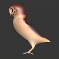 Cute Cartoon Bird Character With Red Head White Orange Body And Purple Claws
