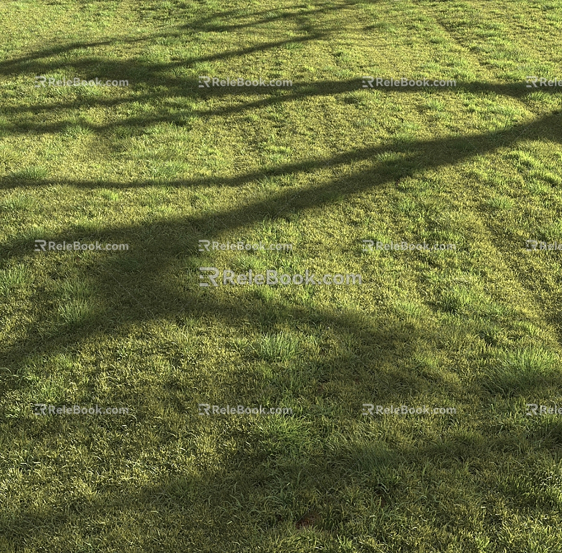 Lawn Grass Sod Shade Grass 3d model