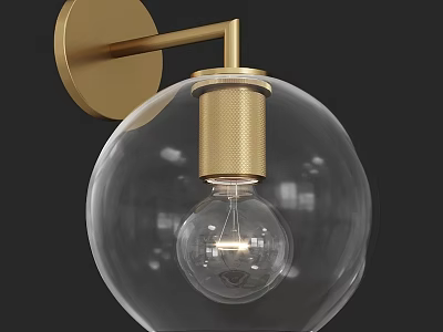 Modern Brass Wall Sconce with Transparent Glass Globe Shade and Light Bulb 3d model