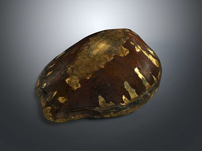 Healthy Animal Organ Sample With Soft Hair Strands Medical Research View 3d model
